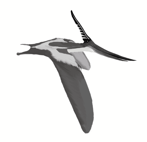 Pterodactyl